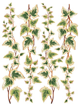 Load image into Gallery viewer, Collage de Fleurs, Transfer by IOD, Iron Orchid Designs