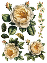 Load image into Gallery viewer, Collage de Fleurs, Transfer by IOD, Iron Orchid Designs