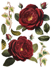 Load image into Gallery viewer, Collage de Fleurs, Transfer by IOD, Iron Orchid Designs