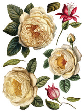 Load image into Gallery viewer, Collage de Fleurs, Transfer by IOD, Iron Orchid Designs