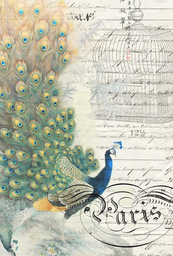 Peacock Ephemera Left Decoupage Tissue Paper by Roycycled Treasures