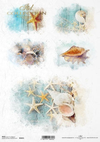Watercolor Seashells and Starfish Rice Paper by ITD Collection, R1611, A4