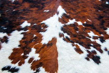 Load image into Gallery viewer, Cowhide Decoupage Paper by Roycycled Treasures