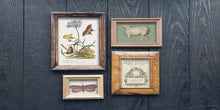 Load image into Gallery viewer, IOD Brocante Transfers in various vintage frames