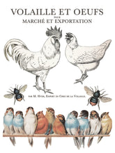 Load image into Gallery viewer, IOD Brocante Transfer, Sheet 7, with Chickens, Birds, Bees, Sheet 7