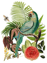 Load image into Gallery viewer, Bungalow Transfer by IOD, Iron Orchid Designs 1