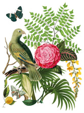 Load image into Gallery viewer, Bungalow Transfer by IOD, Iron Orchid Designs 2