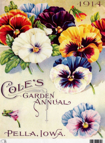 Cole's Garden Annual Pansies 1914 Rice Paper by Calambour Italy TT95