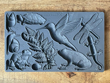 Load image into Gallery viewer, Dewdrop Pond Mould by IOD, Iron Orchid Designs