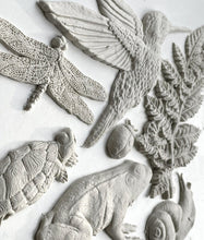 Load image into Gallery viewer, Dewdrop Pond Mould by IOD, Iron Orchid Designs 2