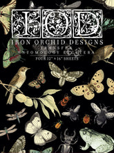 Load image into Gallery viewer, Entomology Etcetera Decor Transfer Pad by Iron Orchid Designs, IOD