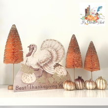 Load image into Gallery viewer, Romantic Fall Turkey Dummy Board by Bethany Lowe Designs, Autumn, Thanksgiving Decor