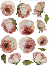 Load image into Gallery viewer, Iron Orchid Designs Painterly Florals Decor Transfer, Pink Roses