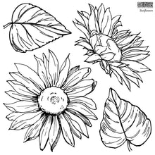 Load image into Gallery viewer, IOD Sunflowers Decor Stamp, Two Sheet Set