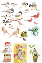 Load image into Gallery viewer, Catalog of Birds Decoupage Paper by Roycycled Treasures