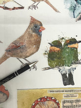 Load image into Gallery viewer, Catalog of Birds Decoupage Paper by Roycycled Treasures