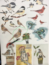 Load image into Gallery viewer, Catalog of Birds Decoupage Paper by Roycycled Treasures