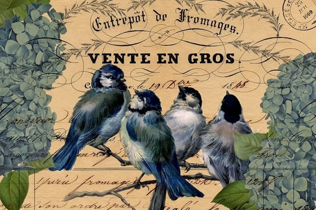 Just Perching Around Rice Paper by Reba Rose Creations