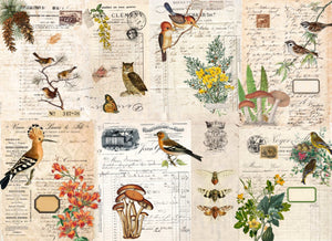 Fall Botanical Project Blocks Roycycled Treasures Decoupage Paper