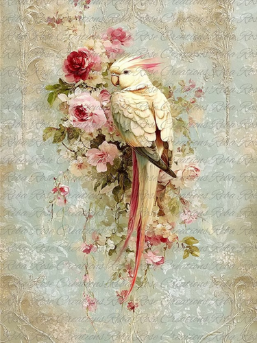 Pretty Parrot Rice Paper by Reba Rose Creations