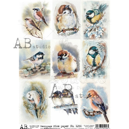 9 Pack Watercolor Birds Rice Paper 1280 by ABstudio, A4