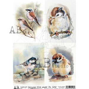 Watercolor Birds 4 Pack Rice Paper 1282 by ABstudio, A4