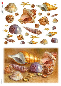 Animals 0041 Paper Designs Washipaper, Seashells on the Beach