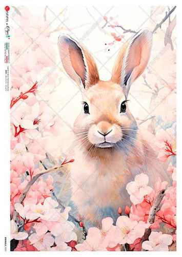 Animals 0231 Paper Designs Washipaper, Pink Floral Bunny Rabbit