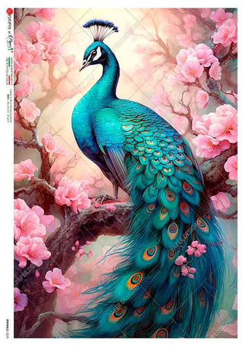 Animals 0235 Paper Designs Washipaper, Bright Floral Peacock