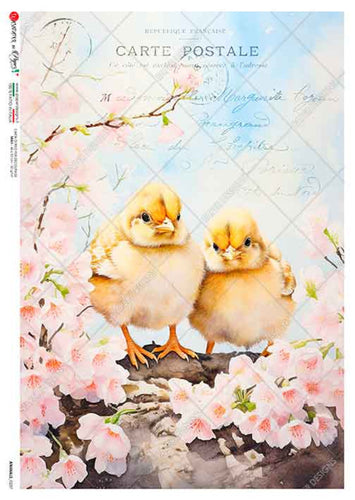 Animals 0237 Paper Designs Washipaper, Chicks and Cherry Blossoms