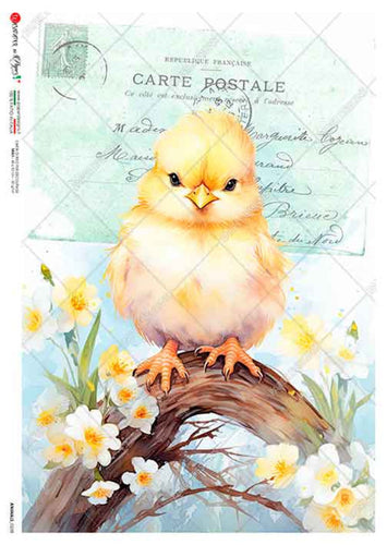 Animals 0238 Paper Designs Washipaper, Chick and Daisies