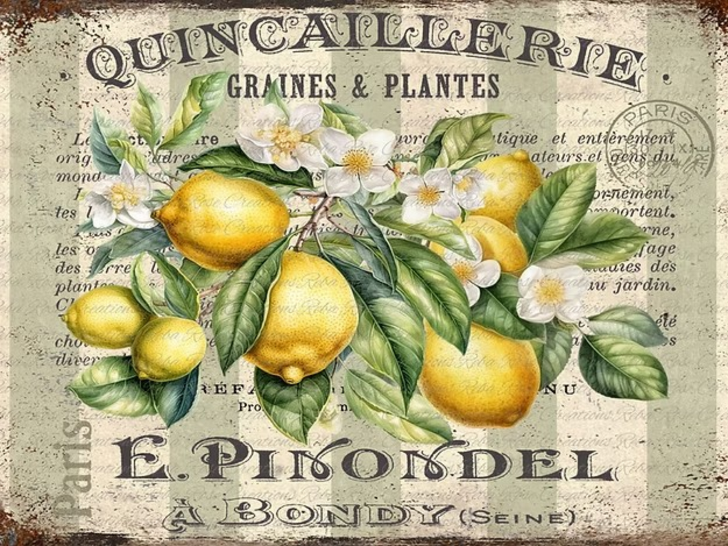 French Lemons Rice Paper by Adorabelle Vintage Co. for Reba Rose Creations