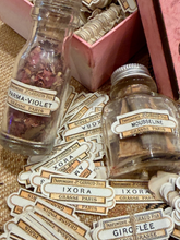 Load image into Gallery viewer, Two vintage-style clear glass bottles filled with dried flowers and paper scraps, surrounded by scattered matching paper labels and a pink box in the background.