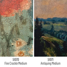 Load image into Gallery viewer, Antiquing Medium
