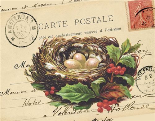 Christmas Nest by Monahan Papers