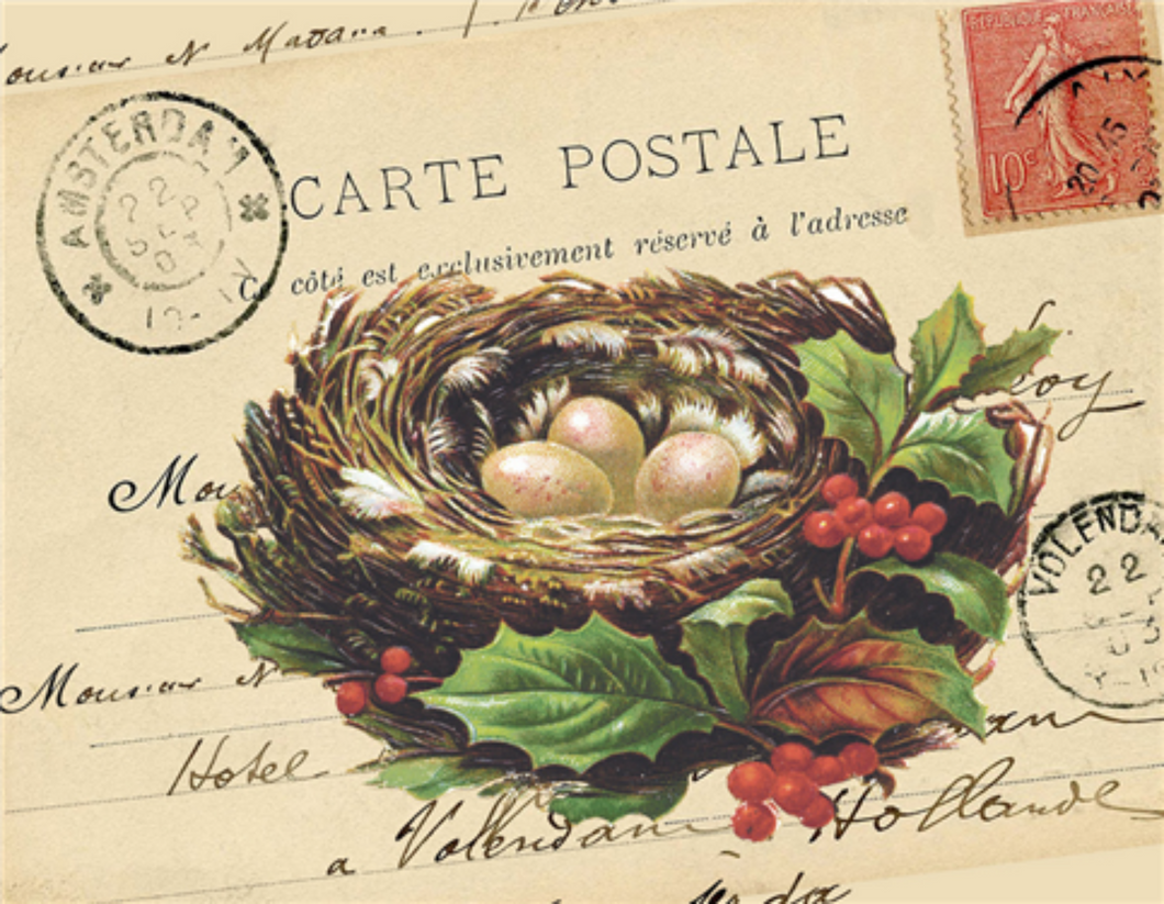 Christmas Nest by Monahan Papers
