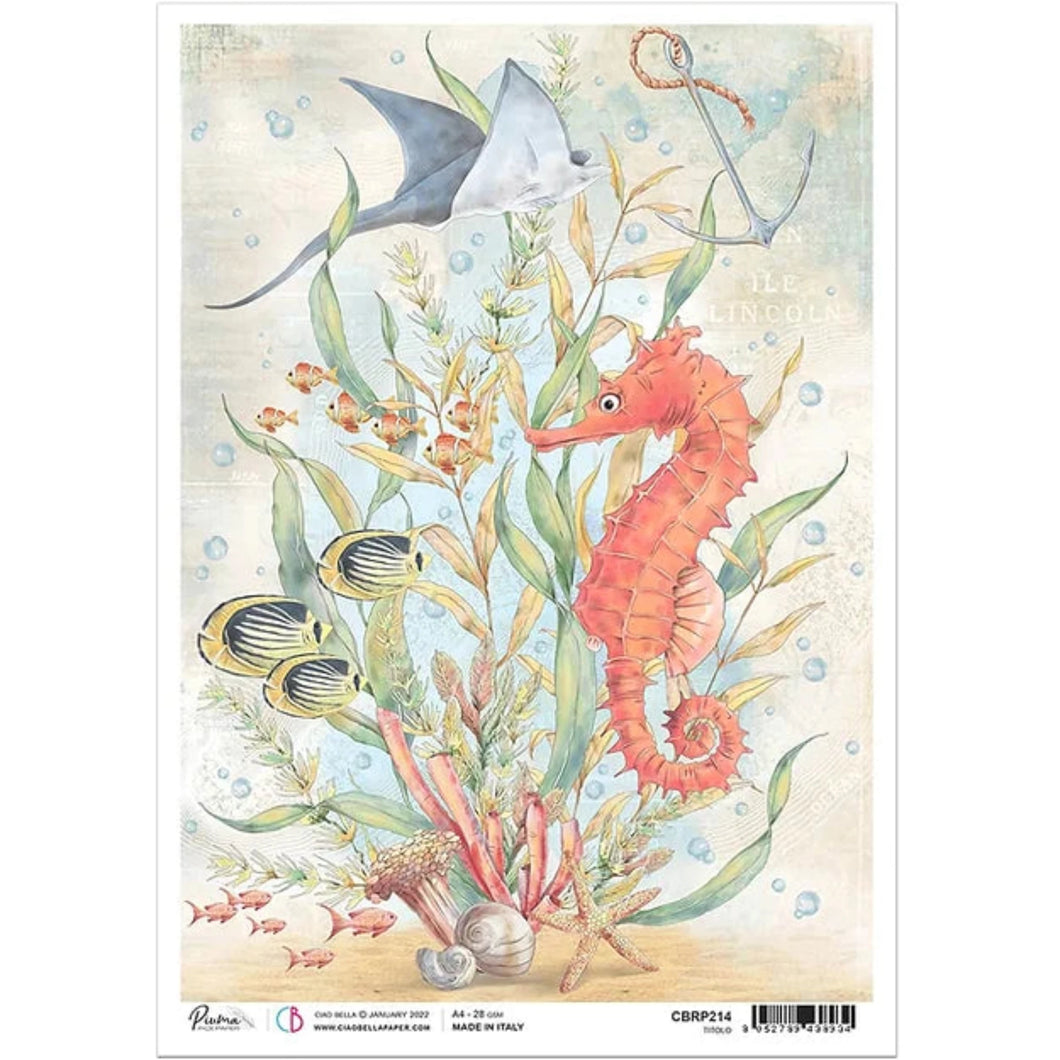 The Seahorse Rice Paper by Ciao Bella