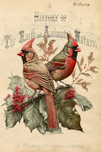 Cardinals Rice Paper by Reba Rose Creations