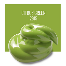 Load image into Gallery viewer, Green swirled object with 'Citrus Green 2915' text on a green background