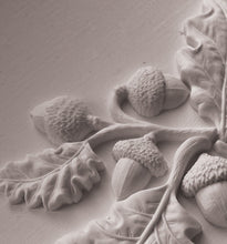 Load image into Gallery viewer, Oak Leaves &amp; Acorns Mould by IOD, Iron Orchid Designs Model