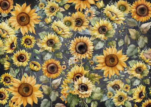 Field of Sunflowers Vellum Paper by Decoupage Queen, Size A4