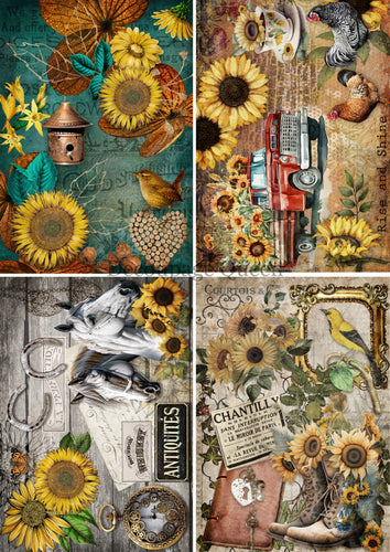 Country Sunflowers 4 Pack Vellum Paper by Decoupage Queen, Size A4