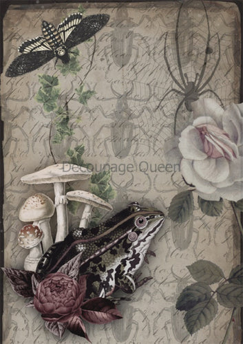 Dainty and the Queen - Diary Entries Rice Paper by Decoupage Queen