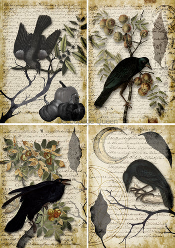 Raven Grimoire 4 Pack Rice Paper by Decoupage Queen