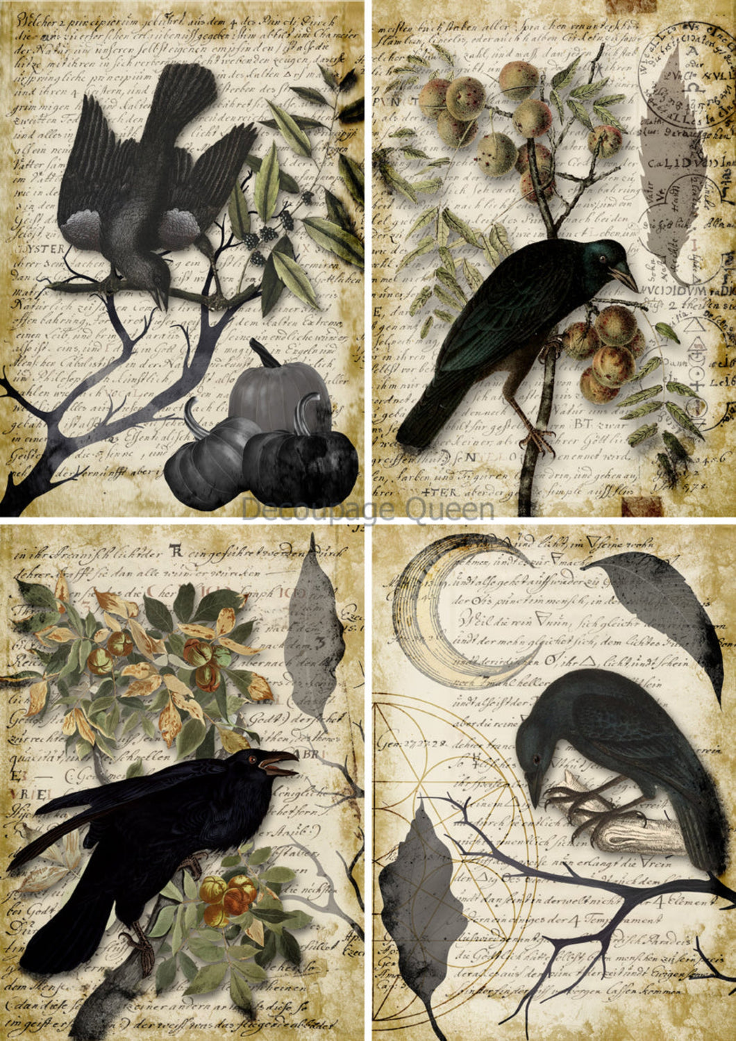 Raven Grimoire 4 Pack Rice Paper by Decoupage Queen