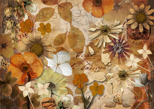 Pressed Autumn Flowers Rice Paper by Decoupage Queen