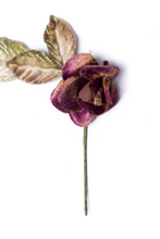 Load image into Gallery viewer, Small Velvet Rose Burgundy
