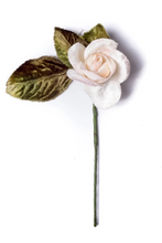 Load image into Gallery viewer, Small Velvet Rose Cream