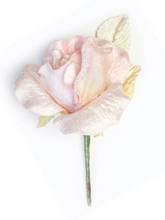 Load image into Gallery viewer, Velvet Organza Rose Soft Pink