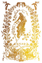 Load image into Gallery viewer, Athenaeum Foil Transfer by IOD
